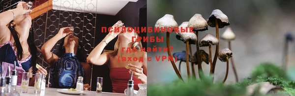 крисы Иннополис