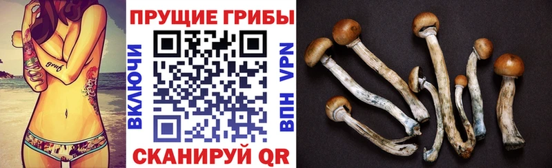 Псилоцибиновые грибы MAGIC MUSHROOMS  как найти закладки  Снежногорск 