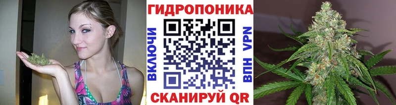 МАРИХУАНА White Widow  Снежногорск 